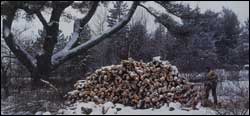 Cutting and splitting firewood is strenuous work; one benefit is the opportunity to be in touch with the outdoors in all seasons.